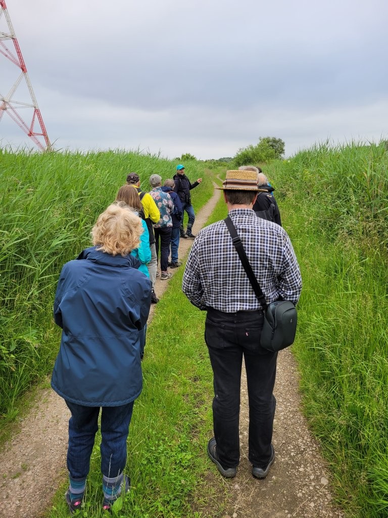 Foto Vogelstimmen