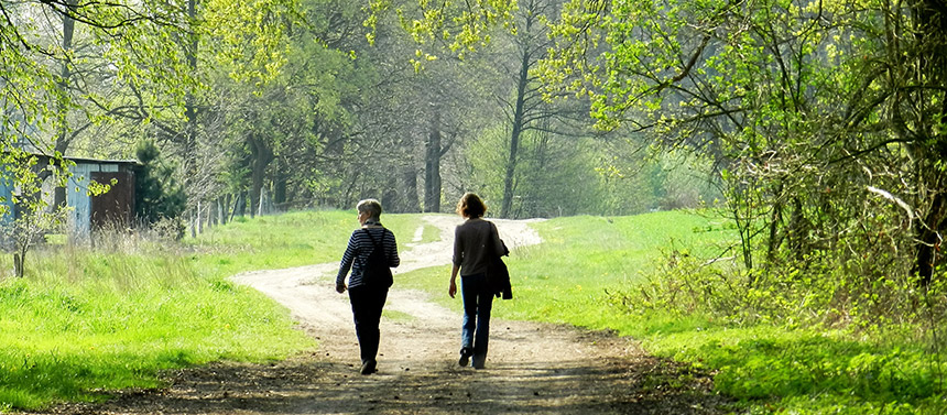 estewanderweg 860
